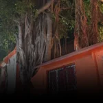 200 साल पुराने बरगद से लेकर 152 साल पुराने पीपल तक, गोरखपुर के ‘विरासत वृक्ष’ और उनकी अनकही दास्तान