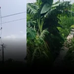 मौसम का कहर: आंधी-बारिश से 10 बिजली पोल धराशायी, 140 गांवों में अंधेरा, जन-जीवन बेहाल