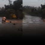 यूपी के बरेली में दर्दनाक हादसा: अरिल नदी में बाइक समेत बहे तीन युवक, तलाश जारी